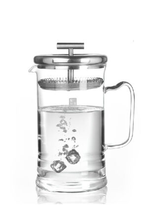 Glass Tea Maker with Stainless Steel Filter (600 ml / 20.3 oz)