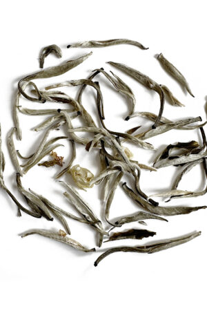 Jasmine Silver Needle White Tea
