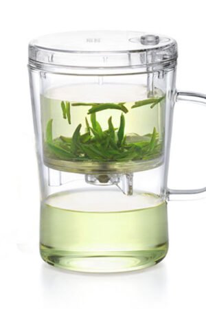 Small Glass Tea Infuser Mug with Lid - 400ml/13.5oz