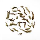 Wild Purple Yabao Tea, Da Xue Mountain