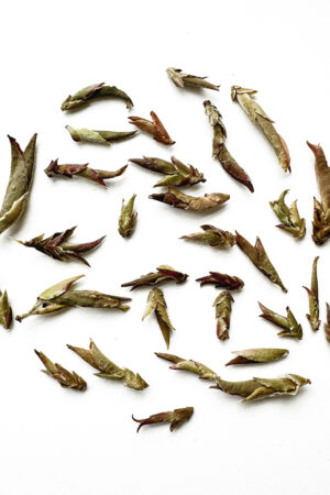 Wild Purple Yabao Tea, Da Xue Mountain