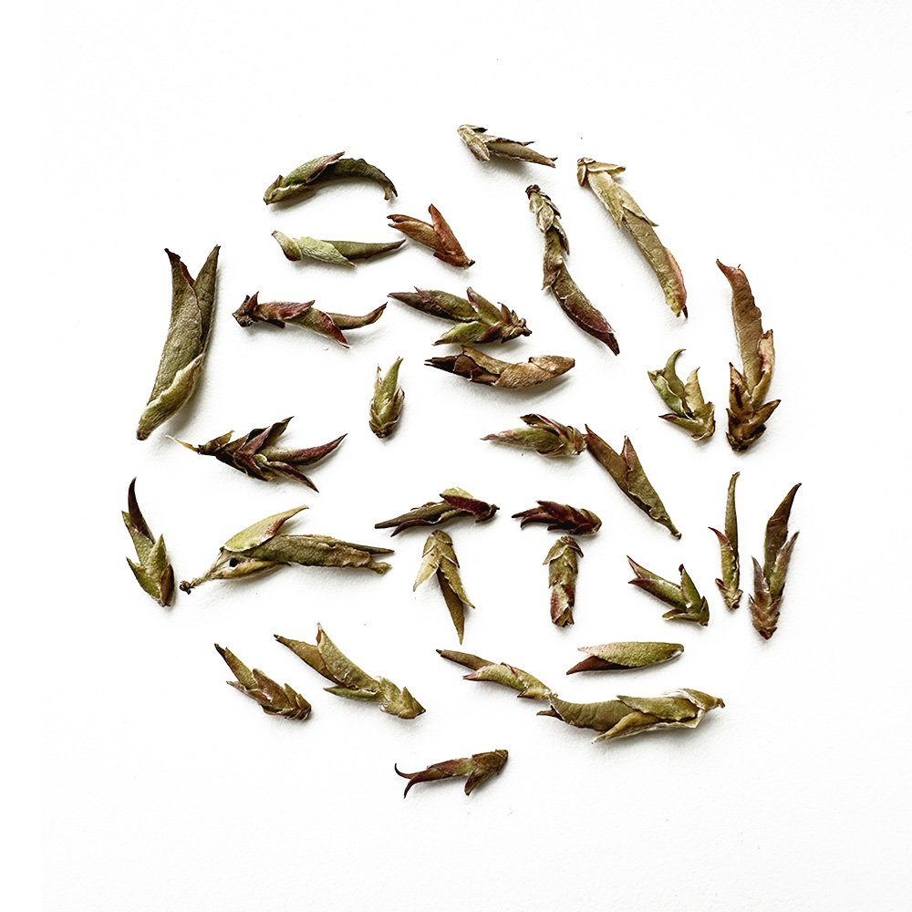 Wild Purple Yabao Tea, Da Xue Mountain