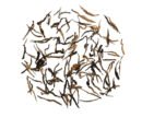 Dian Hong Tea - Black Needle Tea